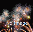 相生ペーロン祭 前夜祭 海上花火大会の写真
