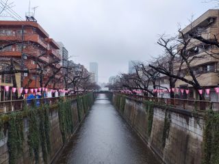 宿山橋付近の様子 3月25日