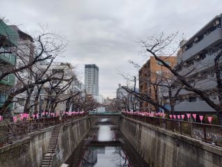 宿山橋付近の様子 3月28日