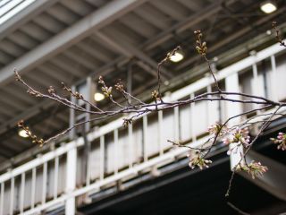 中目黒駅高架下の様子 4月1日