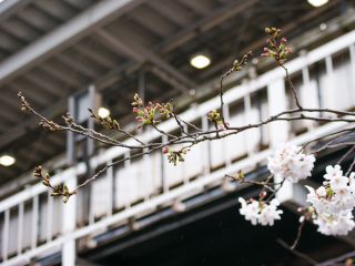 中目黒駅高架下の様子 4月4日