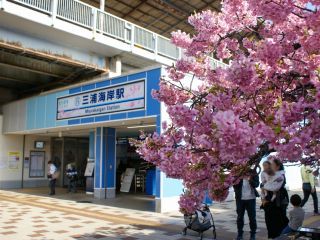 三浦海岸駅前の様子 2月20日 駅看板が桜仕様に