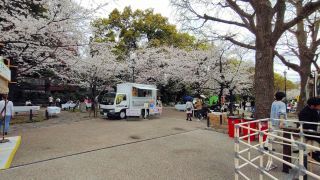 満開の桜とキッチンカーパーク