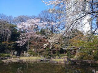 庭園にも桜があり美しい景色が広がります