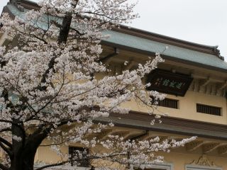 遊就館と満開の桜