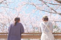 【いばらきフラワーパーク】「桜フェスタ in 花やさと山」開催！着物でめぐる250本の河津桜。マルシェやお花見森カフェ、さくら撮影会など