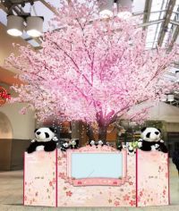 3月1日(金)よりアトレ上野×JR上野駅　 「パンダと桜の木」が中央改札外グランドコンコースに登場！ 「パンダ自身」のオリジナルしおりシールをプレゼントします！