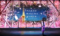 名古屋の夜景×桜のアートを、中部電力 MIRAI TOWERで楽しむ都会のお花見