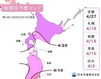 【桜開花予想2024】北海道の地点でも開花が間近！東北地方北部では満開見頃を迎えています（4月18日発表）