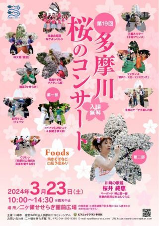 多摩川桜のコンサート