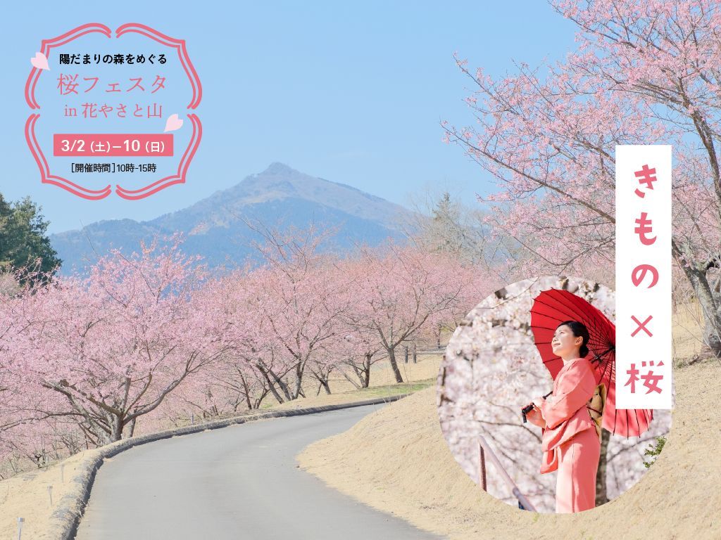 桜フェスタin花やさと山