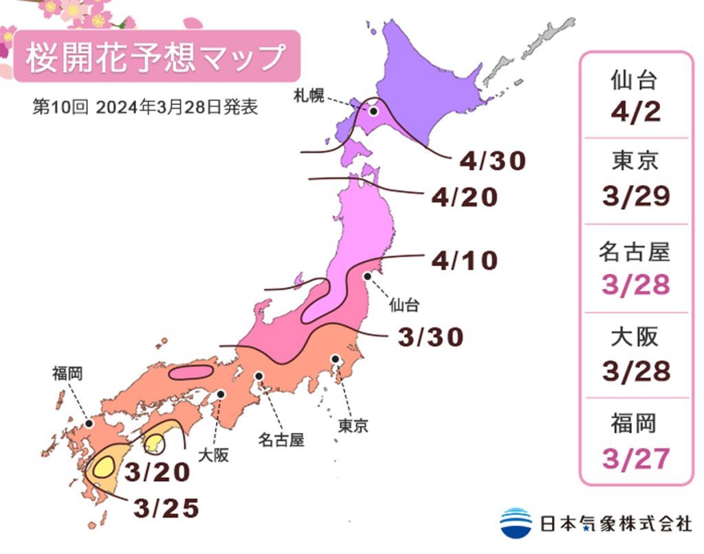 第10回 2024年桜開花予想マップ