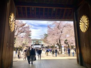 「東京まち歩き」さんからの投稿写真＠靖国神社