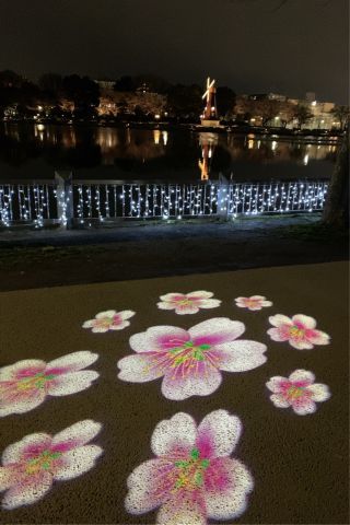 「Flower」さんからの投稿写真＠浮間公園