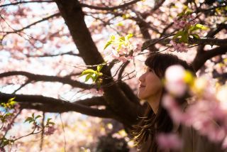 「tatsubow」さんからの投稿写真＠松田町の河津桜「まつだ桜まつり」