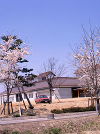 まほろばの緑道の桜の写真