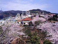 かみね公園の写真