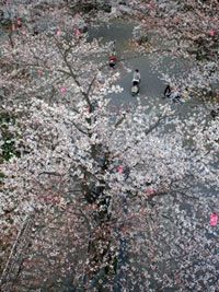 太田山公園の写真