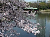 浜離宮恩賜庭園の写真