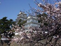 島原城の写真