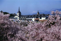 辰野町荒神山公園の桜