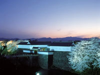 The Cherry Blossoms of Kajo Park