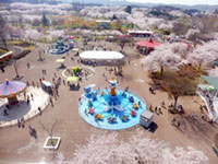 八戸公園(こどもの国・八戸植物公園)の写真