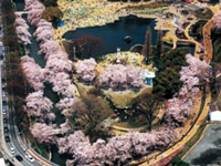 前橋公園の写真