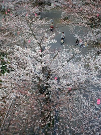 太田山公園の写真