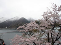 奥多摩湖の写真