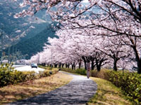 松崎町那賀川沿い・富士見彫刻ラインの写真