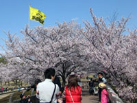 明石公園(愛知県)の写真