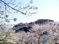 西海橋公園の写真