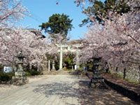 大村公園の写真