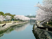 平和市民公園の写真