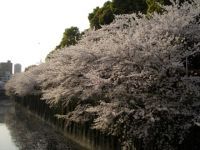 江戸川公園の写真
