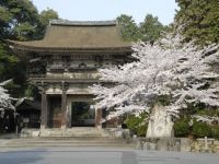 三井寺の写真