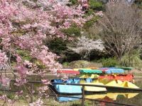 清水公園（千葉県）の写真