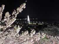 朝日山公園の写真