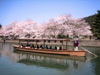宇治橋上流の写真