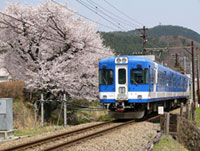 富士急行線 三つ峠駅の桜の写真