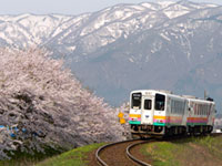 山形鉄道フラワー長井線の桜の写真