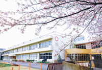 らぽっぽなめがたファーマーズヴィレッジの桜の写真