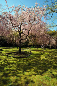 真鶴・荒井城址公園の写真
