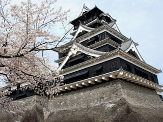 熊本城の桜の写真4
