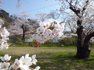 きみまち阪県立自然公園の写真３