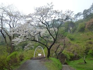 きみまち阪県立自然公園の写真４