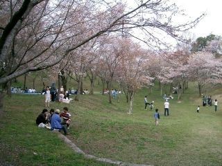 磯部桜川公園の写真３