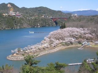恵那峡の桜写真１