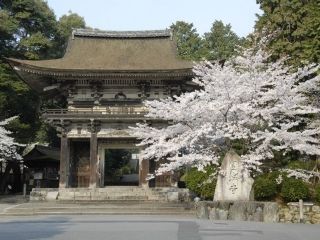 三井寺の桜写真１